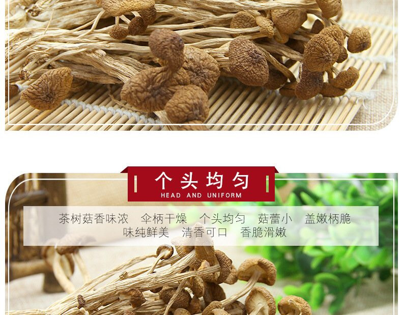 【扶贫助农】新货茶树菇干货250g农家自产茶薪菇农家种植无硫古田特产