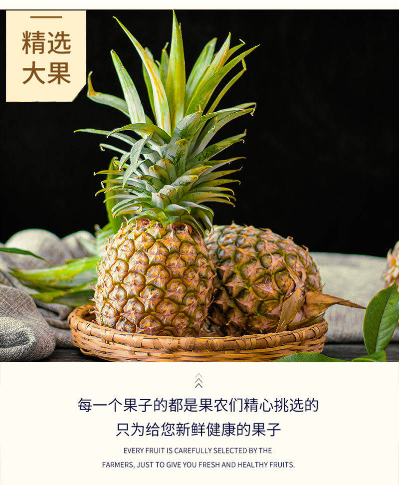 【团购】云南香水小菠萝净果9斤 新鲜当季水果 河口手撕菠萝应季凤梨包邮（48小时内发货）