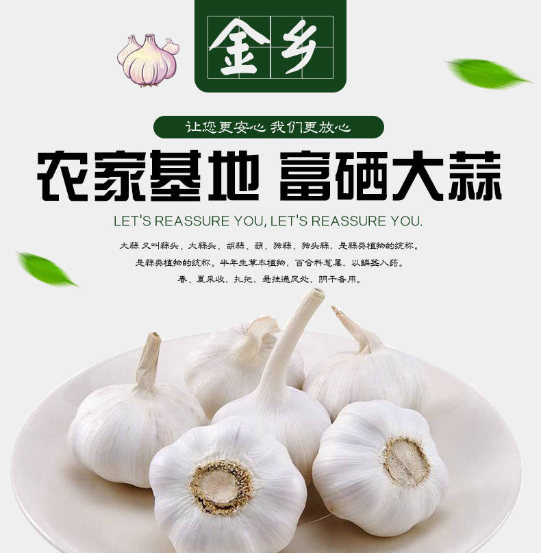 领券减3圆山东农家大蒜头干蒜1/5斤金乡紫皮大蒜10斤批发坏果包赔