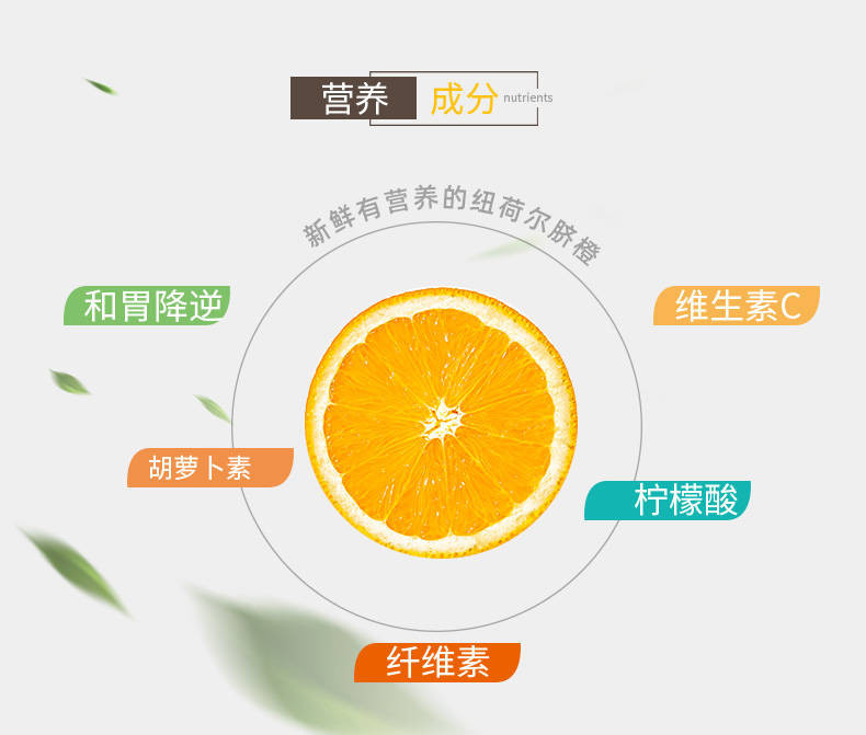 橙子宜昌纽荷尔脐橙现摘现发3/5/8.5斤 当季酸甜水果孕妇坏果包赔