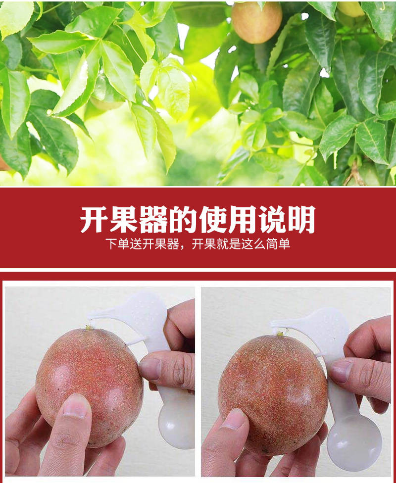 送开果器】广西百香果大果5斤装2/3斤12个新鲜水果酸甜果大多汁