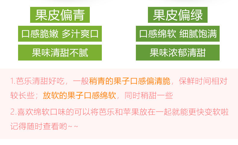 【白心免费送】广西番石榴红心白心芭乐应季新鲜水果单果120-400g