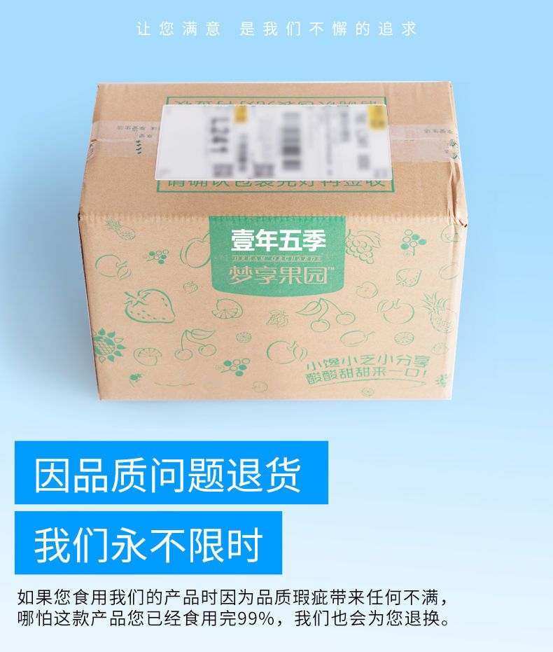 【2斤】蓝莓李果新疆特产火车同款蓝莓干梅子蜜饯果脯118g