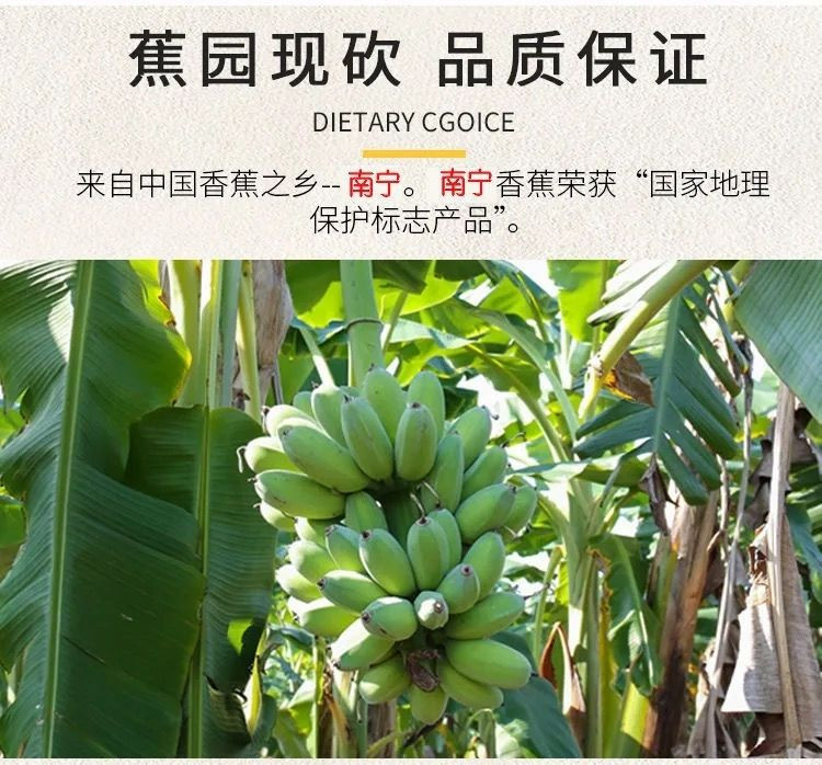 大牛哥 广西小米蕉3/5/9斤当季新鲜水果自然成熟苹果蕉香蕉包邮