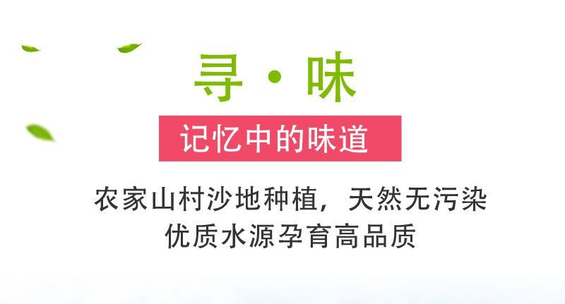 大牛哥 沙地红薯糖心板栗番薯山芋地瓜包邮