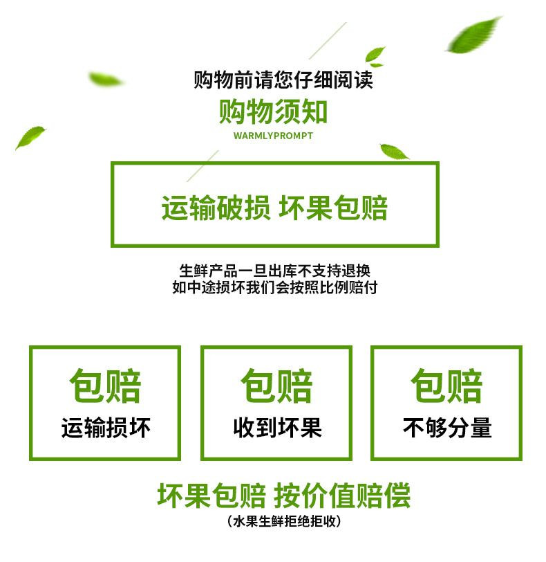 大牛哥 正宗武鸣沃柑应季柑橘当季薄皮新鲜水果橙子整箱包邮