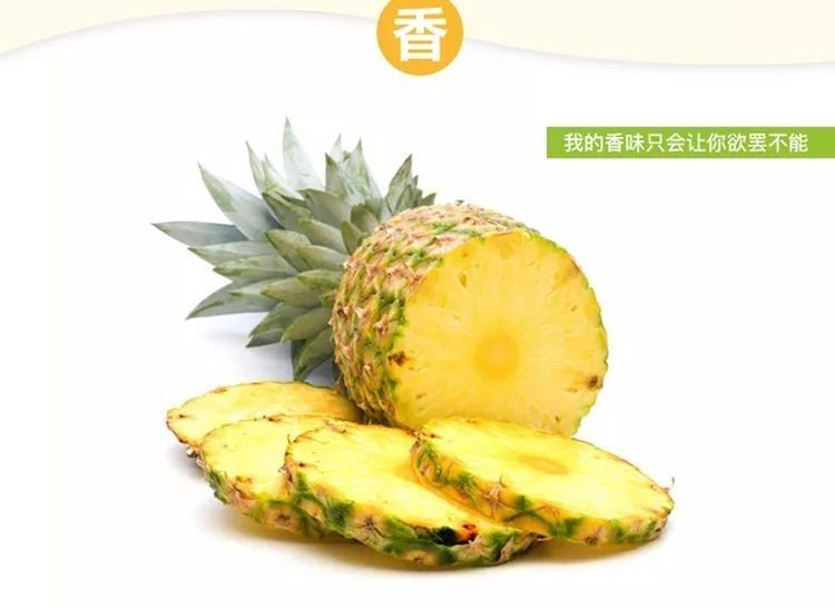 大牛哥 菠萝当季新鲜水果脆甜多汁整箱非凤梨【徐闻美食】