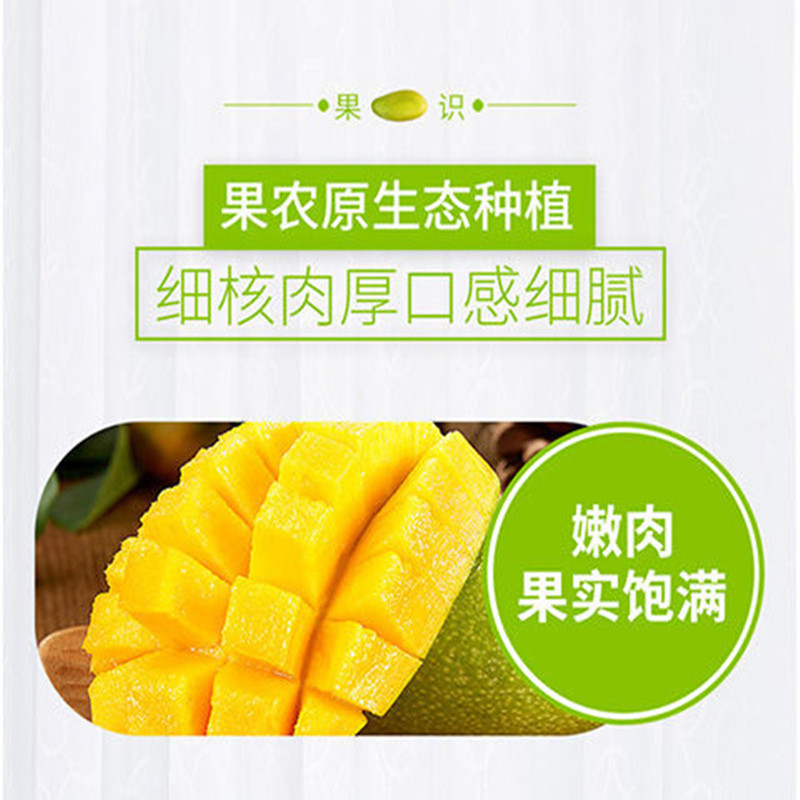 大牛哥 芒果越南玉芒3/5/9斤当季新鲜水果整箱包邮【徐闻美食】