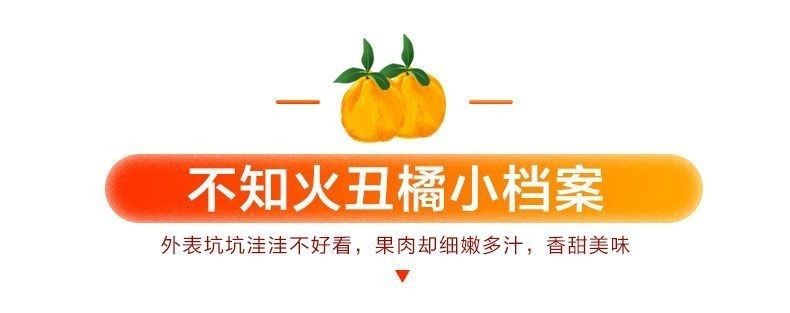 大牛哥 丑橘不知火新鲜应季水果薄皮丑橘批发包邮