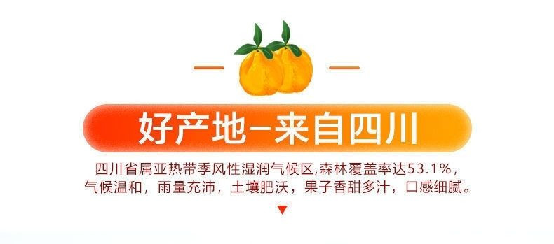 大牛哥 丑橘不知火新鲜应季水果薄皮丑橘批发包邮