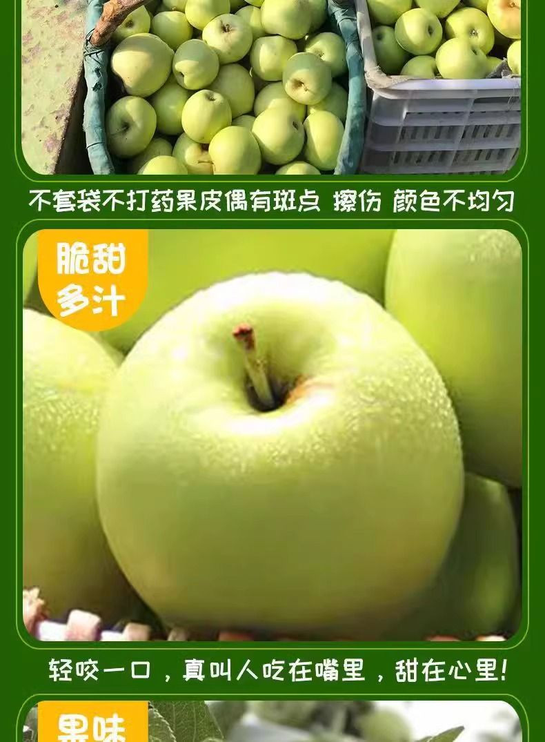大牛哥 青苹果新鲜水果当季小苹果孕妇水果酸脆甜包邮
