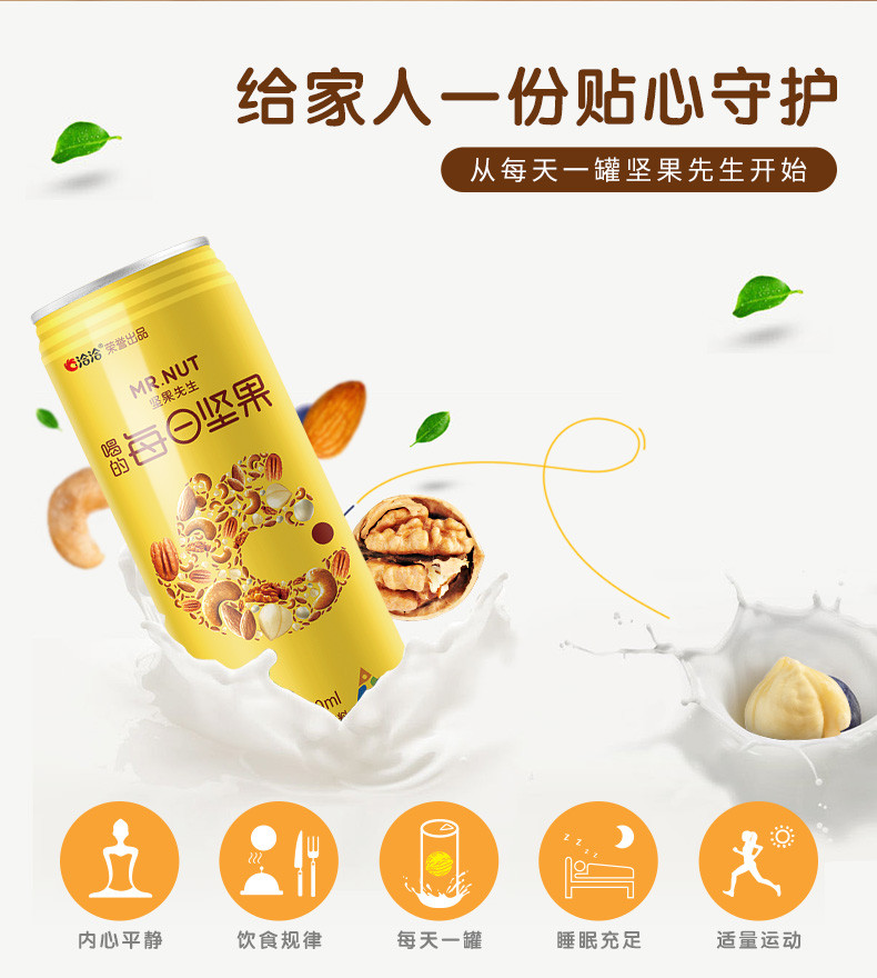 坚果先生坚果乳植物蛋白饮料240ml*12罐