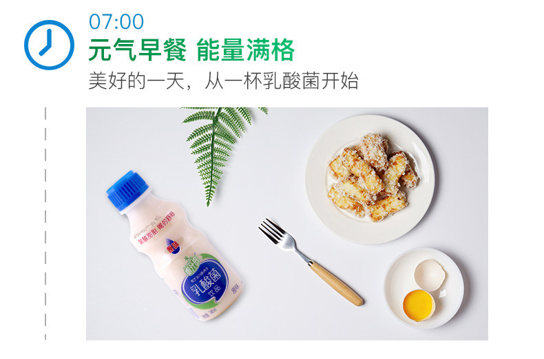 椰汁岛乳酸菌饮品整箱340ml*12瓶饮料儿童发酵酸奶牛奶学生早餐奶