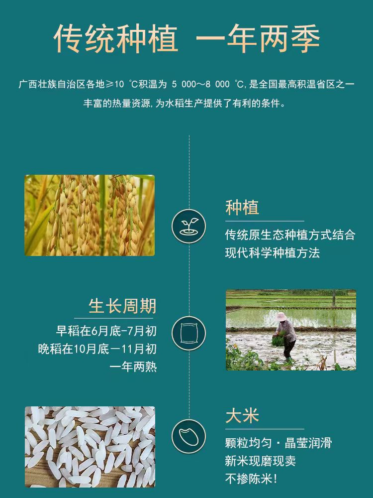 农家自产 2023年农家晚稻现磨长粒香米不抛光不打蜡5斤装