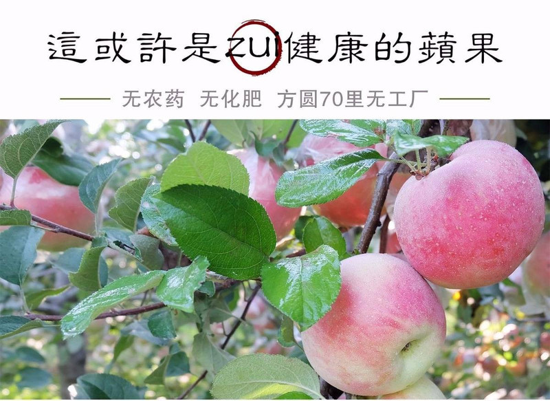 山西脆苹果应季水果新鲜当季红富士脆甜一整箱5斤装平果批发