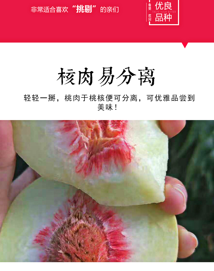 冬桃云南桃子新鲜5斤整箱包邮当季脆甜水蜜桃水果青州蜜桃