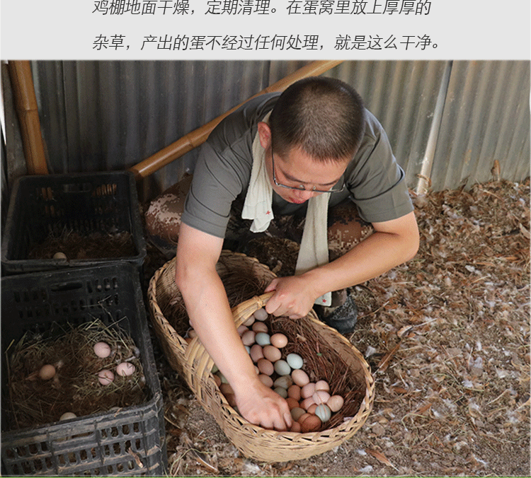 正宗土鸡蛋30-40枚装农村山林散养当日新鲜鸡蛋五谷喂养破损包赔