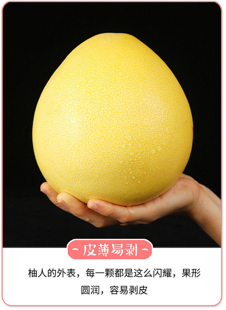 【新鲜采摘】福建平和蜜柚白心白柚子单果900克上2个装非广西柚