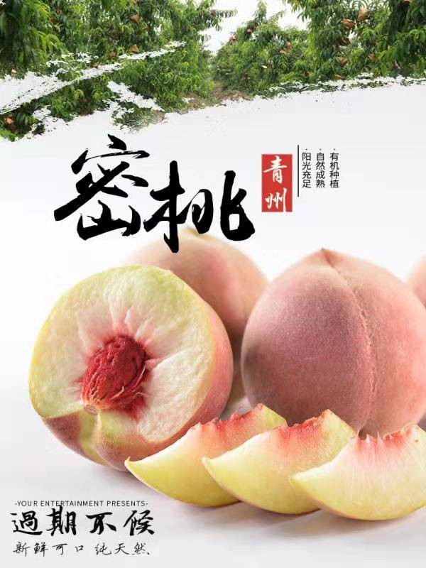 青州蜜桃5斤当季桃子冬雪蜜桃脆小毛桃水果新鲜现摘坏果包赔