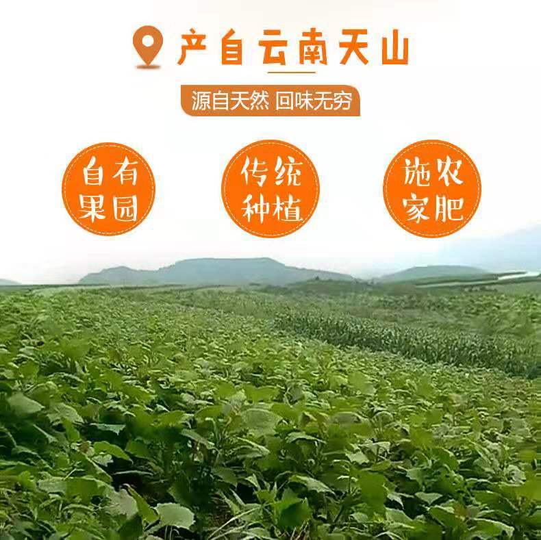 云南雪莲果红心菊署万根苕新鲜应季水果脆甜5斤