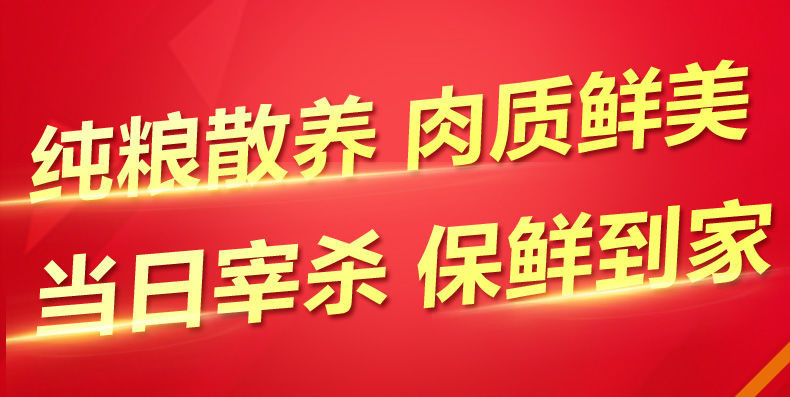 佳怡康 【顺丰冷链】老母鸡三黄鸡 700-750克/只 土鸡走地鸡