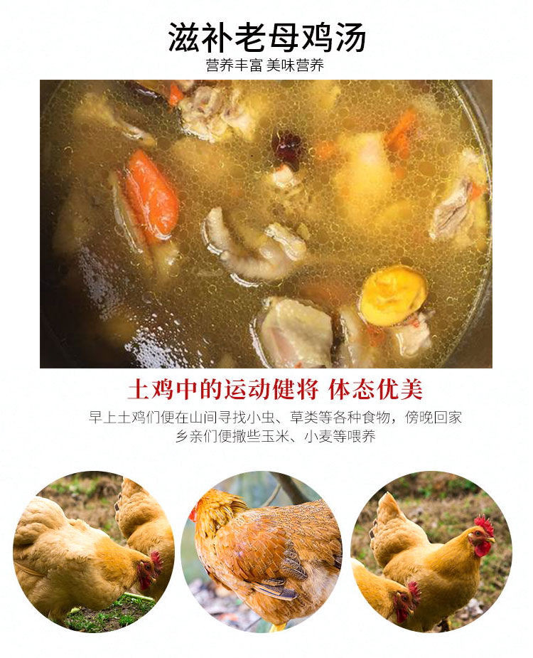 佳怡康 【顺丰冷链】老母鸡三黄鸡 700-750克/只 土鸡走地鸡