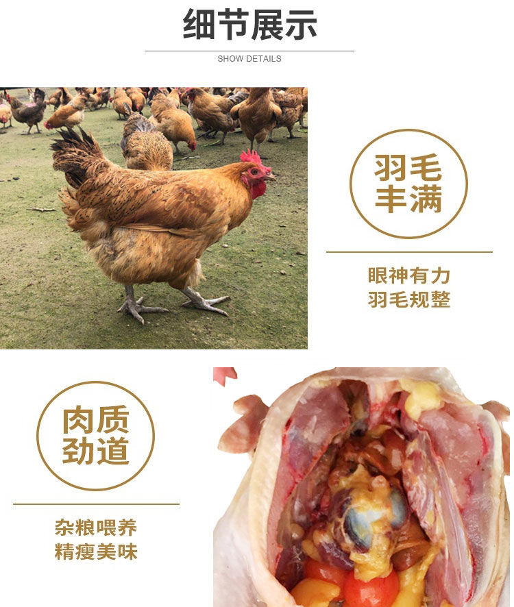 佳怡康 【顺丰冷链】老母鸡三黄鸡 700-750克/只 土鸡走地鸡