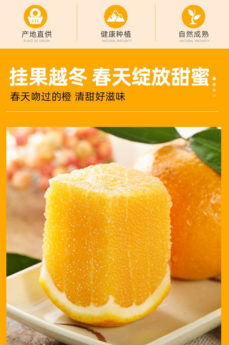 【湖北秭归】【单果75mm以上】 秭归脐橙9斤/5斤大果整箱 新鲜水果冰糖橙夏橙