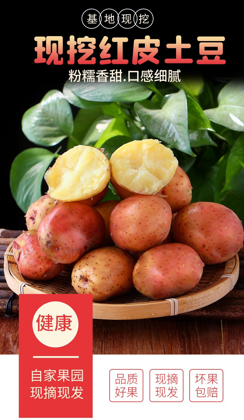 佳怡康 云南红皮土豆 3斤-5斤-9斤