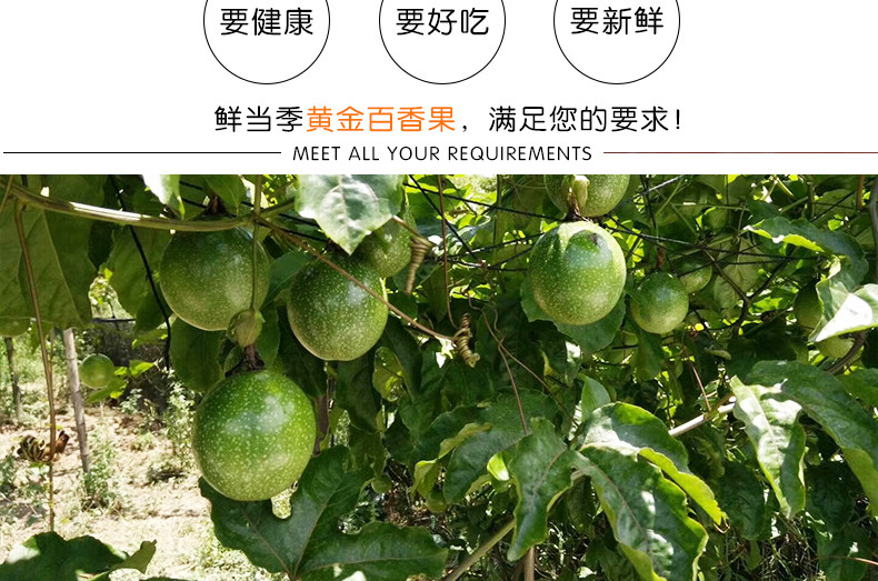 【酸甜可口】海南黄金百香果