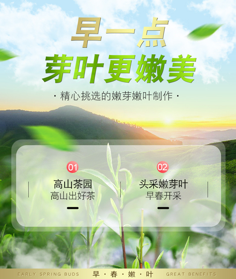 天王 碧螺春绿茶明前早春新茶正宗高山云雾毛尖散装茶叶 小圆罐100克