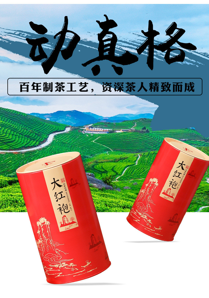 天王  【礼盒装配手提袋】武夷山乌龙茶大红袍浓香型500克罐装