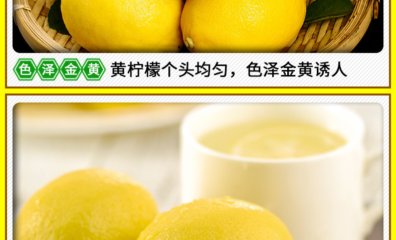 四川安岳 新鲜安岳黄柠檬薄皮黄柠檬泡水应季当季水果