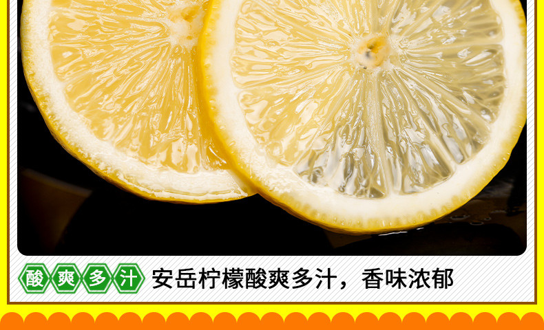 佳怡康 四川安岳 新鲜安岳黄柠檬薄皮黄柠檬泡水应季当季水果