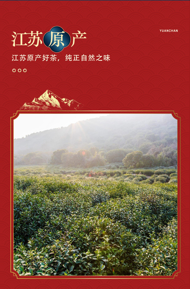 【高级礼盒装】125克*2罐 节日送礼新茶豆香龙井茶 高山绿茶 茉莉花茶 碧螺春茶叶礼盒装