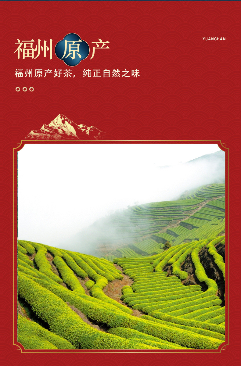 【高级礼盒装】125克*2罐 节日送礼新茶豆香龙井茶 高山绿茶 茉莉花茶 碧螺春茶叶礼盒装