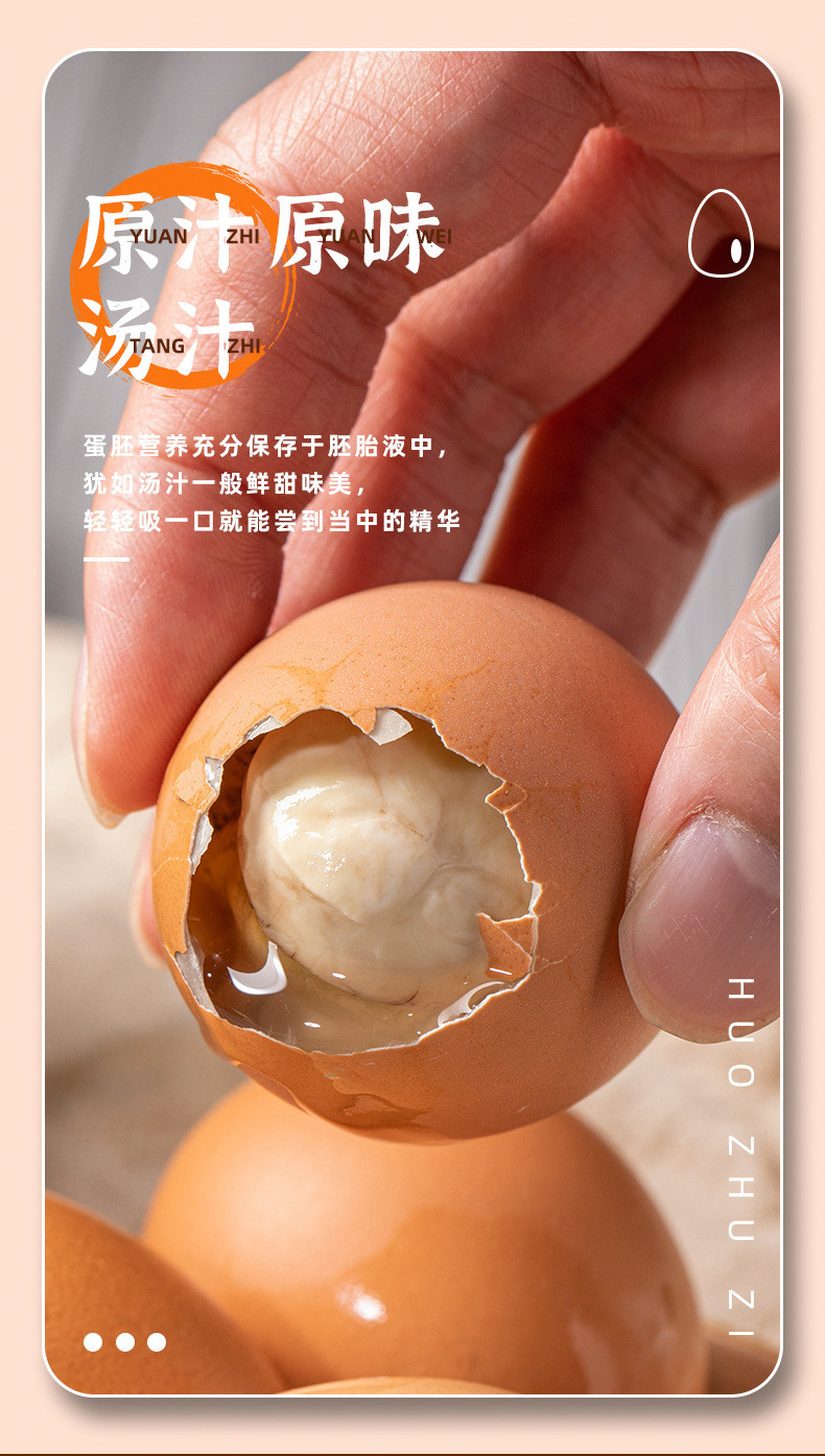 活珠子13天 五香味新鲜毛蛋开袋即食全熟无毛钢化蛋喜蛋鸡胚蛋