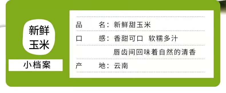 【产地云南直发】水果玉米 可以生吃的水果玉米 唇齿间回味着自然的清香