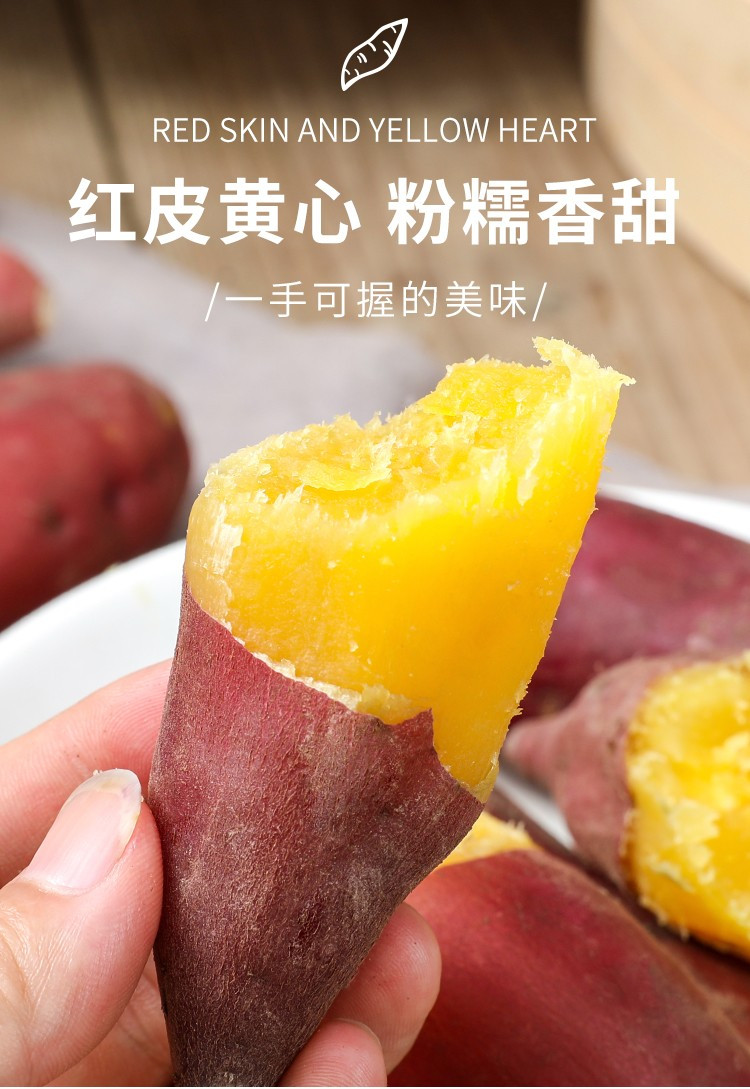 荷馨四季 浙江临安天目山小香薯  【大果150-250g】