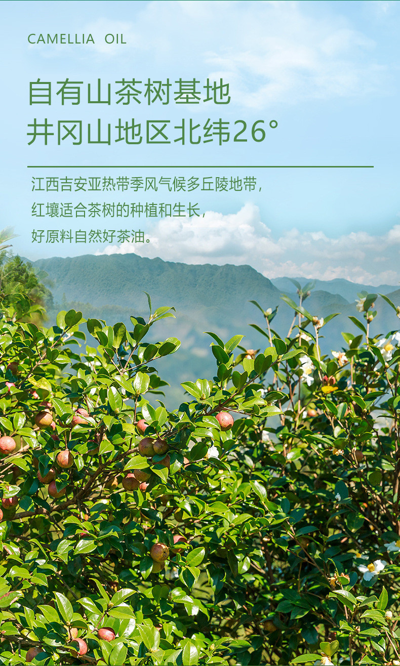 秋味坊 【江西吉安特产】山茶油1000ml礼盒装 新鲜压榨植物油