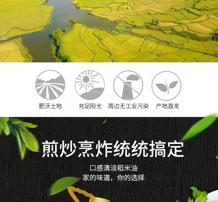 荷馨四季 东北大米浸出工艺 稻米油食用油5升 【邮政快递】约9.4斤