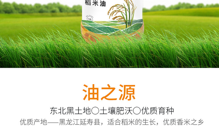 荷馨四季 稻米油食用油1.8升 【邮政快递】3.6斤重