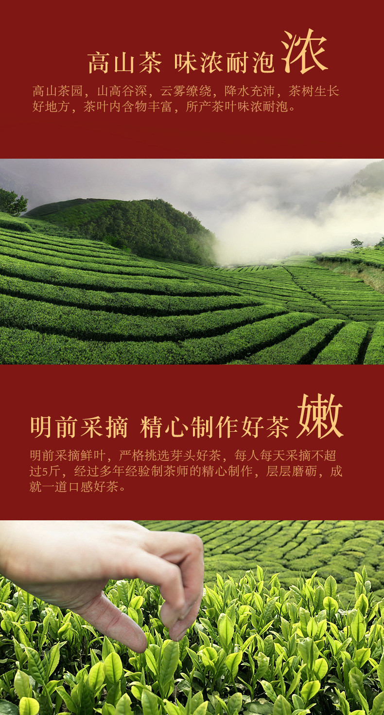 天王 金骏眉红茶  【1大圆罐*250g】 两罐送礼袋