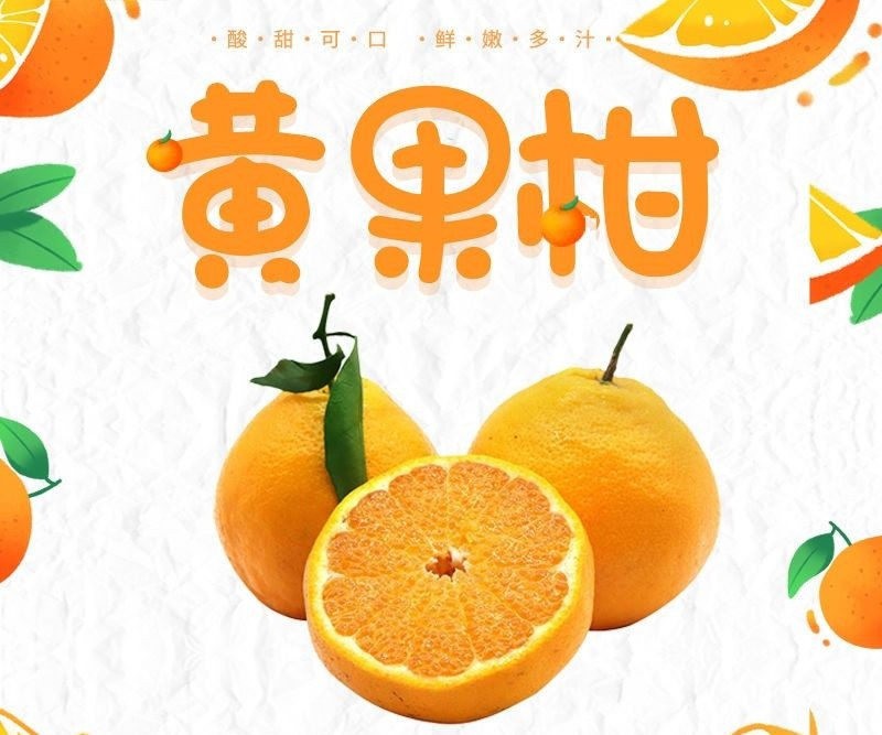 荷馨四季 当季新鲜水果 四川黄果柑 香甜橘子 【单果55mm起】