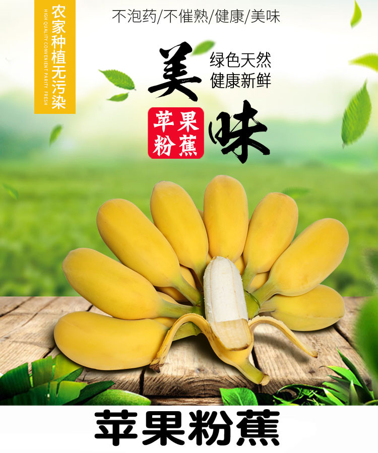 荷馨四季 广西苹果蕉  软糯香甜