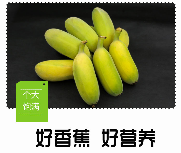 荷馨四季 广西苹果蕉  软糯香甜