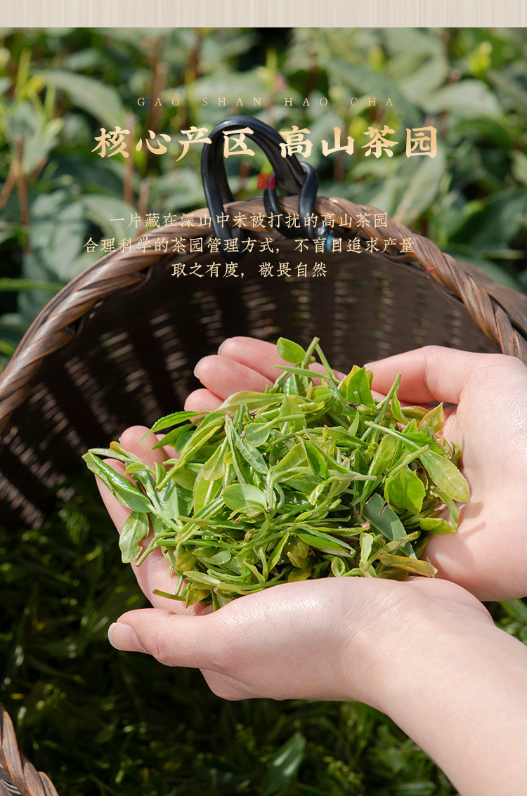 石草池 武夷山岩茶 大红袍浓香型茶叶18罐礼盒装200g