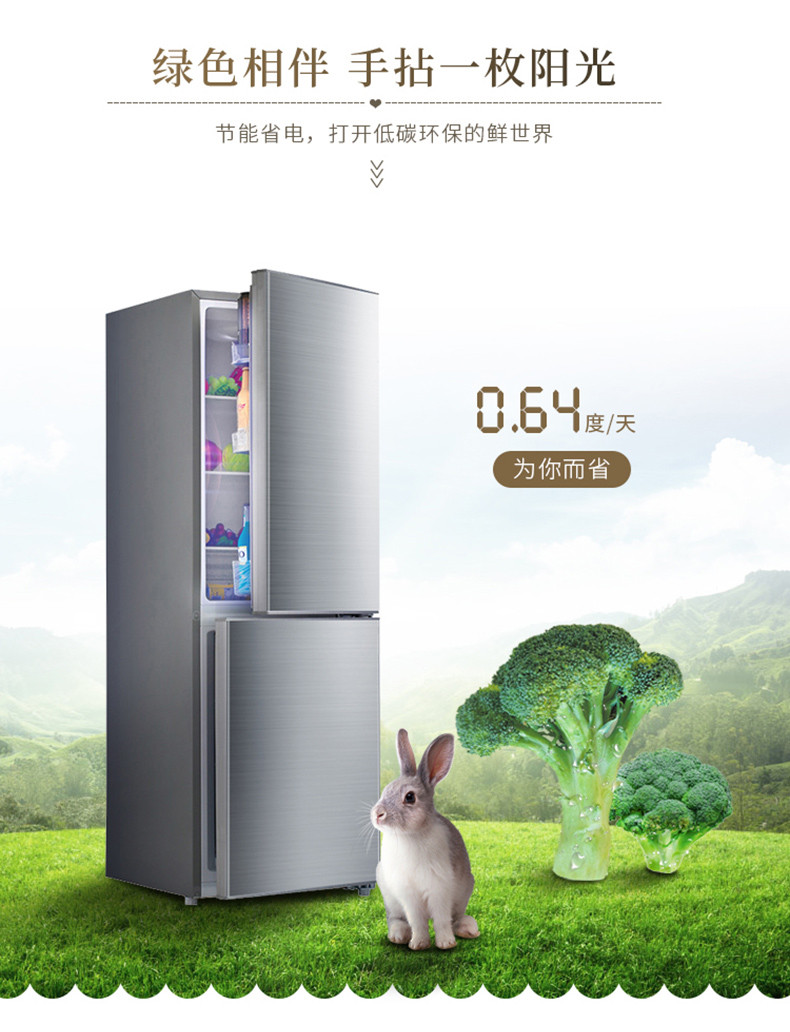海信/Hisense BCD-187F/Q家用小型双门冰箱 187L升节能冰箱