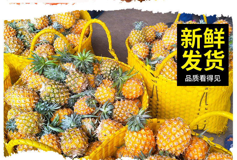 【10斤35.9】香水菠萝新鲜当季水果手撕小菠萝应季非凤梨整箱10斤