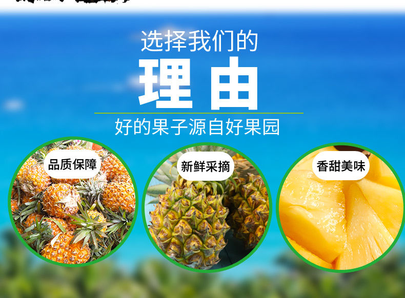 【10斤35.9】香水菠萝新鲜当季水果手撕小菠萝应季非凤梨整箱10斤